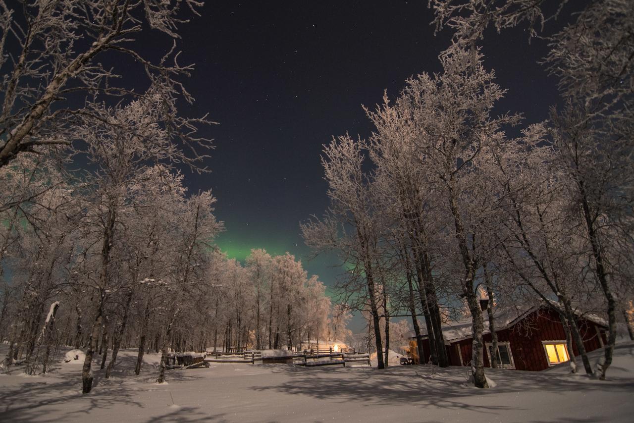 Husky Lodge Hostel Kiruna Exteriör bild