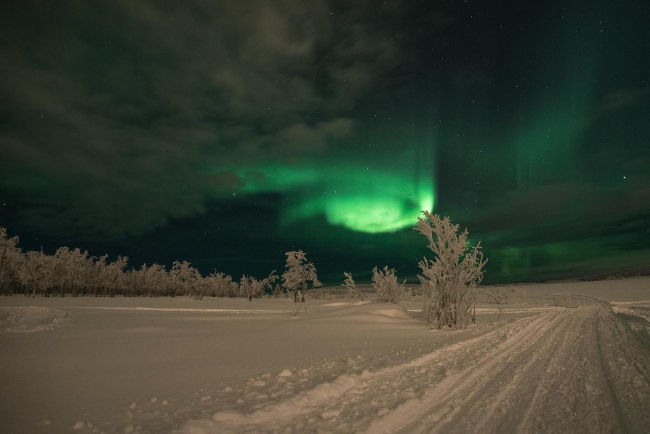 Husky Lodge Hostel Kiruna Exteriör bild