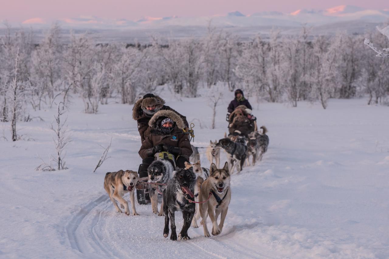 Husky Lodge Hostel Kiruna Exteriör bild